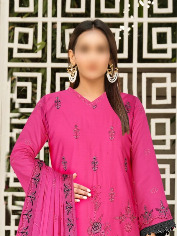 EID Collection, 3PC Chicken Kari Lawn Suit | Pret Collection | View | Bin Nisar Pakistani Clothing