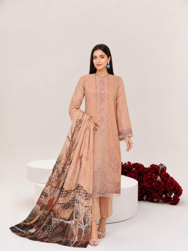 Party Wear Dress, Heavy Embroidered 3PC | Pret Collection | Bin Nisar Pakistani Clothing