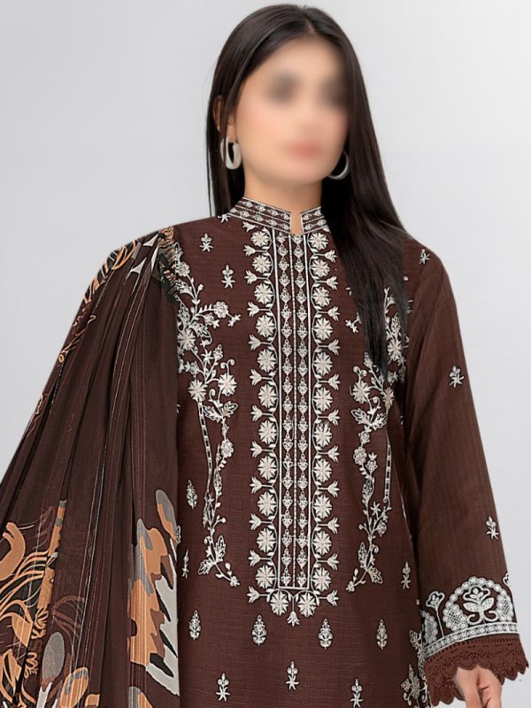 Party Wear Dress, Heavy Embroidered 3PC | Pret Collection | View | Bin Nisar Pakistani Clothing