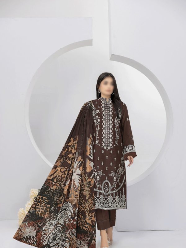 Party Wear Dress, Heavy Embroidered 3PC | Pret Collection | Bin Nisar Pakistani Clothing