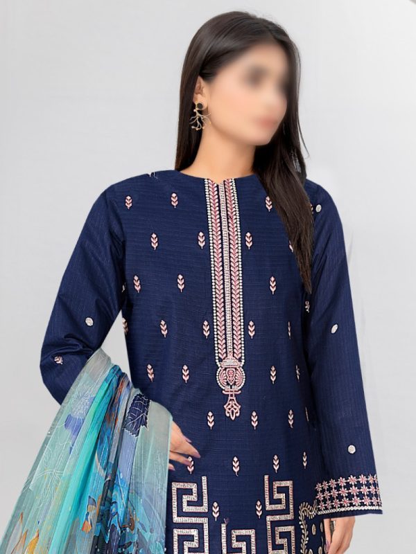 Party Wear Dress, Heavy Embroidered 3PC | Pret Collection | View | Bin Nisar Pakistani Clothing