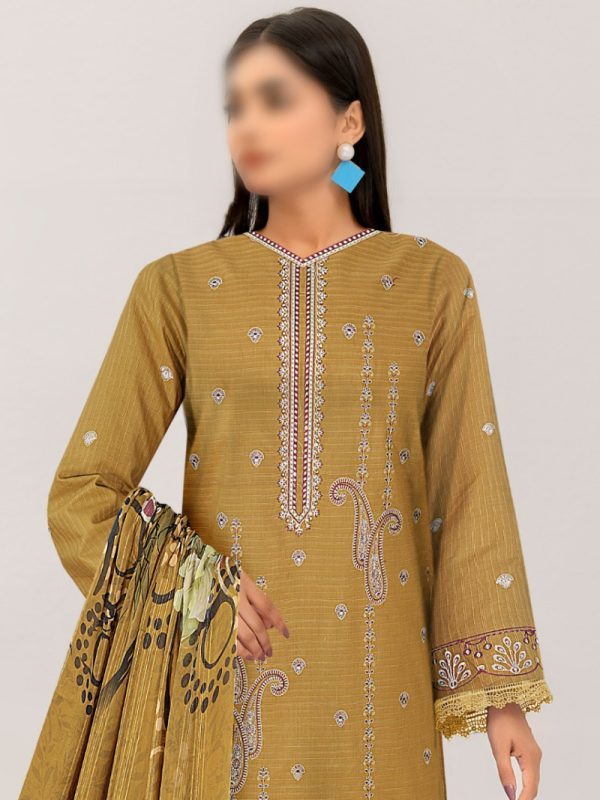 Party Wear Dress, Heavy Embroidered 3PC | Pret Collection | View | Bin Nisar Pakistani Clothing