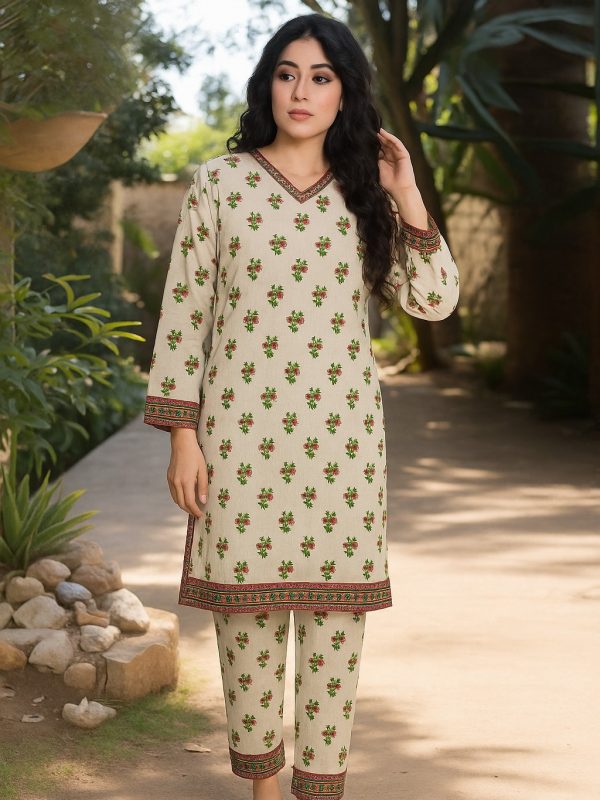2PC Bana Dora Allover Lawn | Summer Collection | Bin Nisar Pakistani Clothing