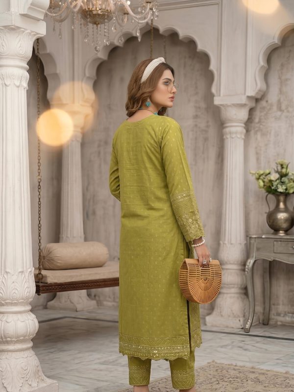 3pc Luxury Barosha Embroided Lawn | Summer Collection | View | Bin Nisar Pakistani Clothing
