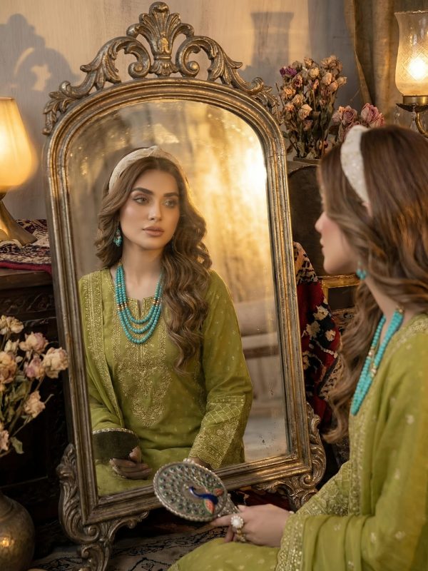 3pc Luxury Barosha Embroided Lawn | Summer Collection | View | Bin Nisar Pakistani Clothing