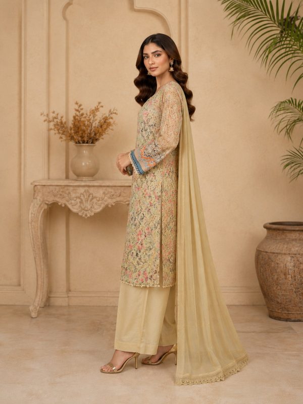 3PC Digital Fully EMB Paper Print Lawn | Summer Collection | View | Bin Nisar Pakistani Clothing