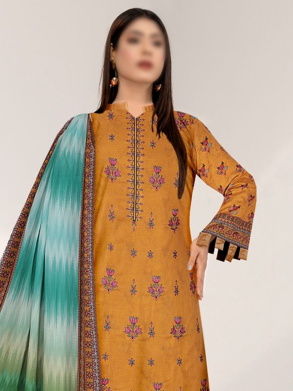 3PC Crystal Embroidered Slub Lawn With Voil Dupatta | Summer Collection | View | Bin Nisar Pakistani Clothing