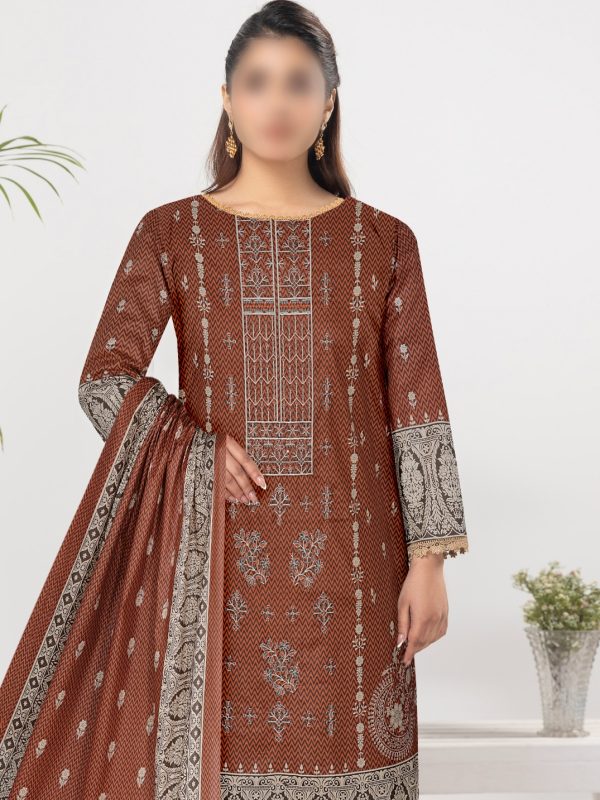 3PC Embroidery Cotton | Summer Collection | View | Bin Nisar Pakistani Clothing