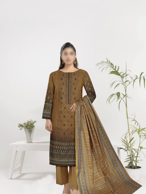 3PC Embroidery Cotton | Summer Collection | Bin Nisar Pakistani Clothing